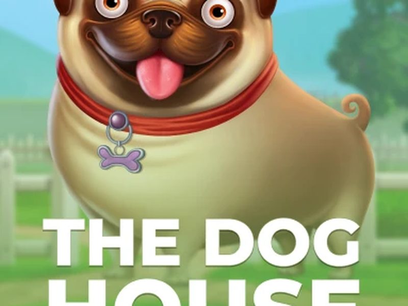 The Dog House - Pragmatic Play: играть в LuckyBear казино